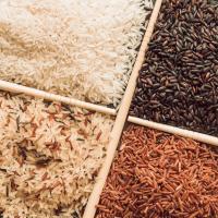 Organic Rice & Grains